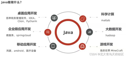 想在互聯(lián)網(wǎng)公司上班,該選擇什么專業(yè)學習入行呢